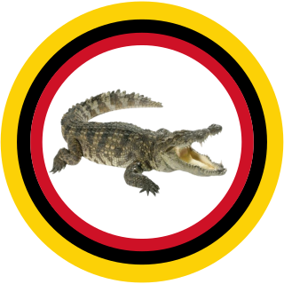 Sarawak Croc Watch